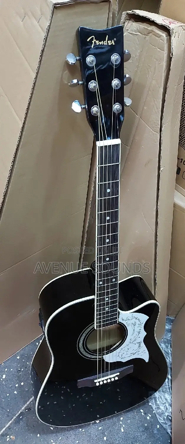 Fender Guitar
