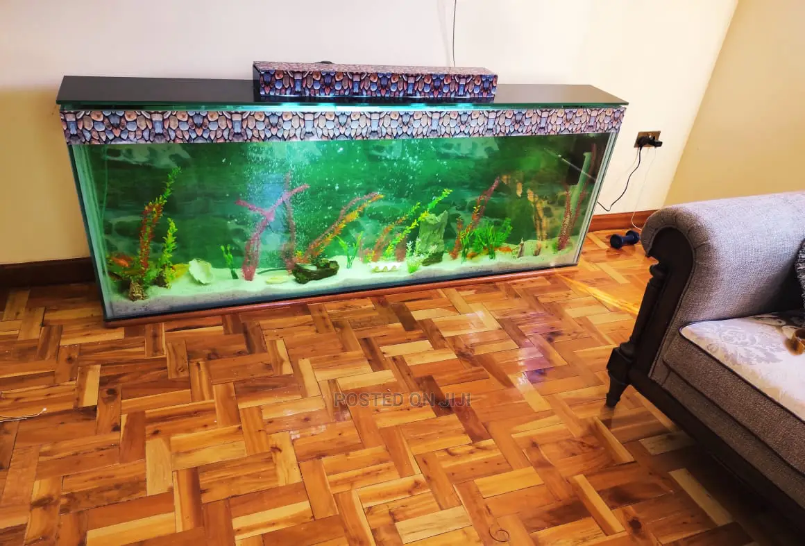 Lovely Desktop Aquarium in Nairobi Central Fish, Aquacentury