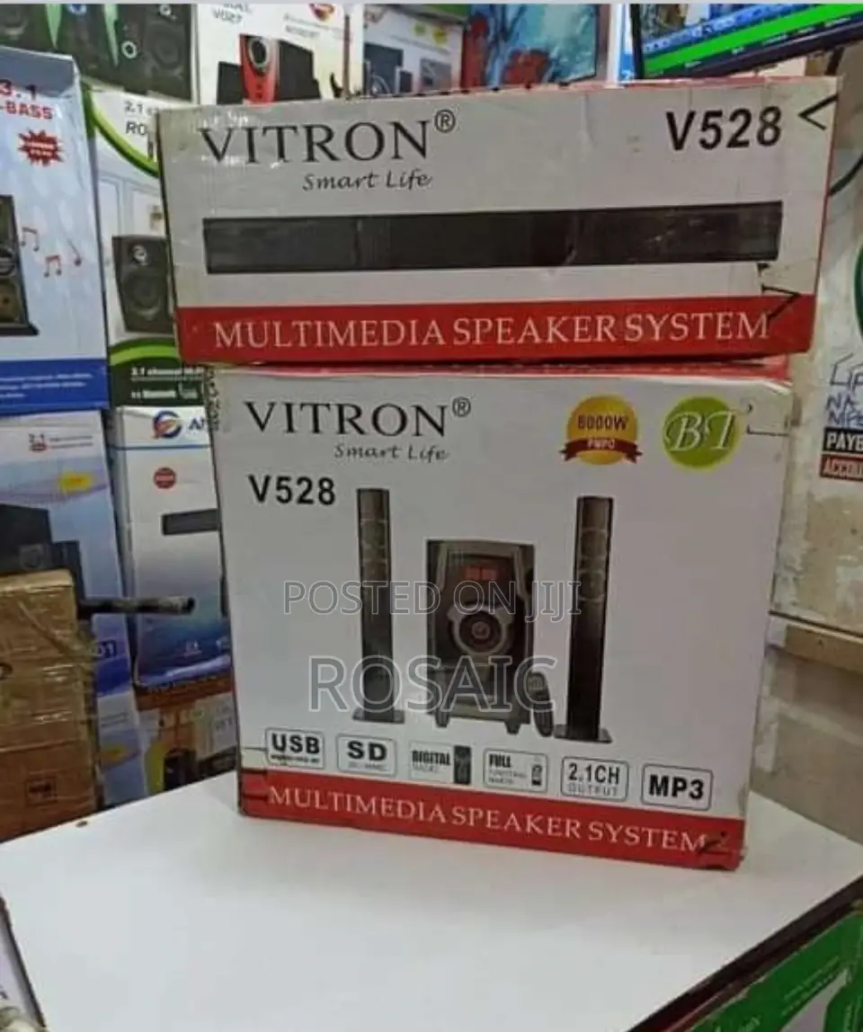 8000 Watts 2.1CH Vitron Sound System