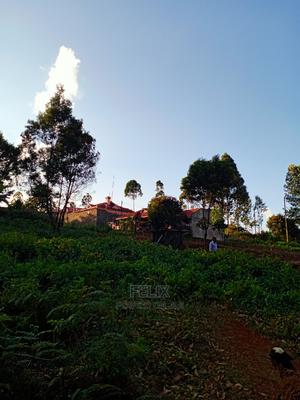 Karatina/Mathaithi Highway Plot - main view