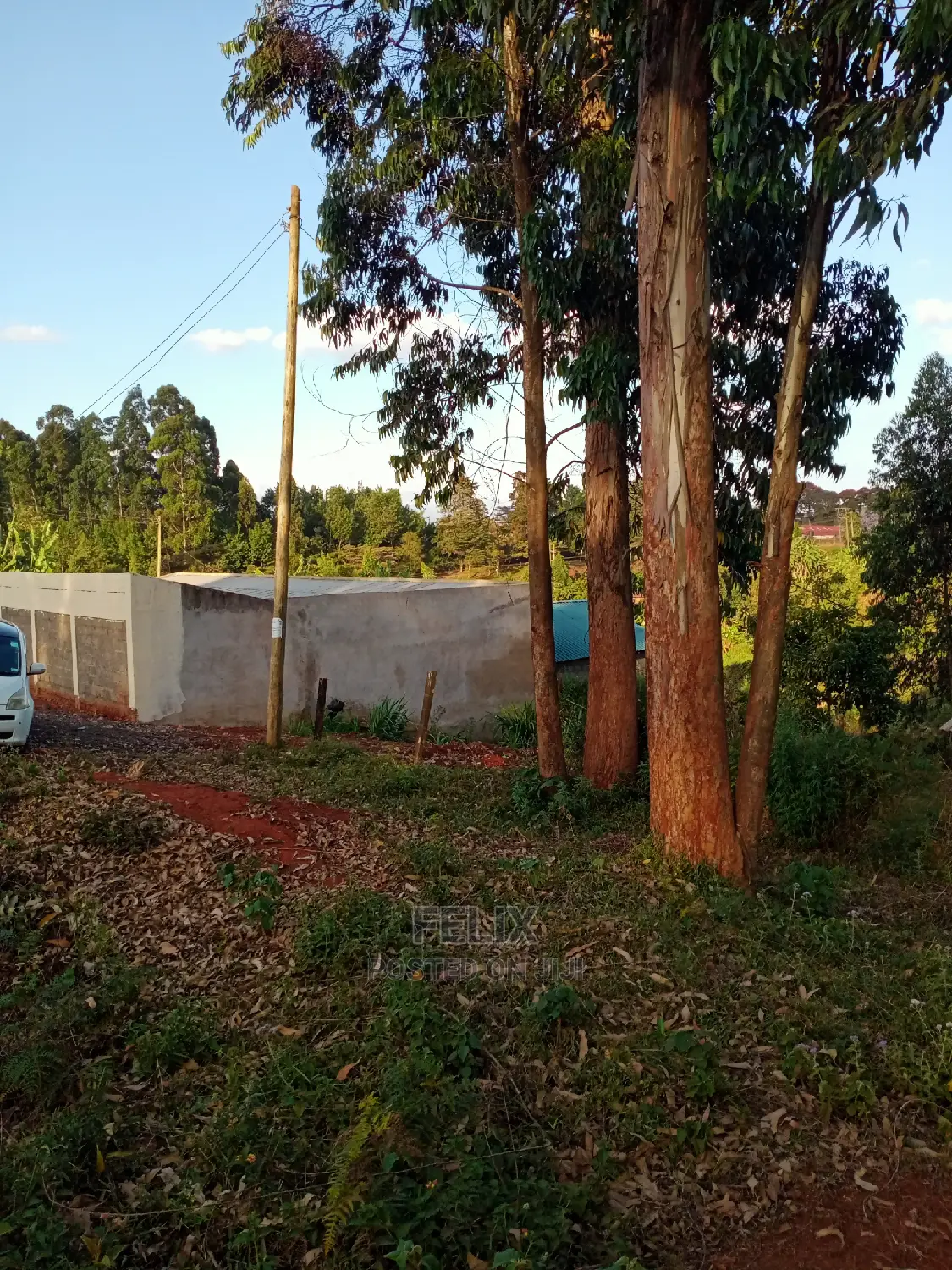Karatina/Mathaithi Highway Plot