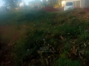 Karatina/Mathaithi Highway Plot