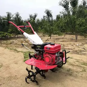 Hand Held Rotary Tiller