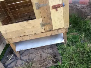 Rabbit House