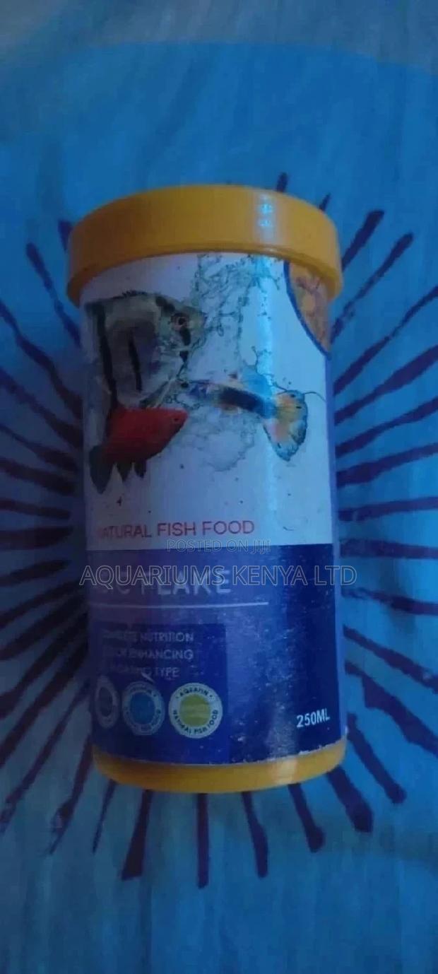 Food for Fish, Tropical Fish Food - main view