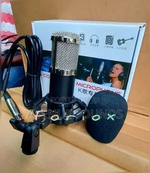 Bm800 Condenser Microphone