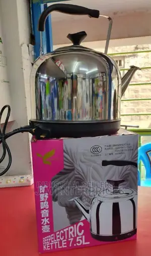 Attractive Electric Kettle