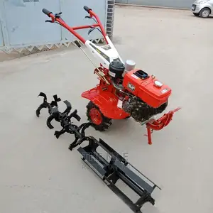 Gasoline Two Wheel Drive Micro Tiller