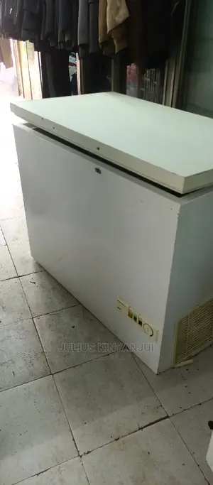 Deep Freezer 330L
