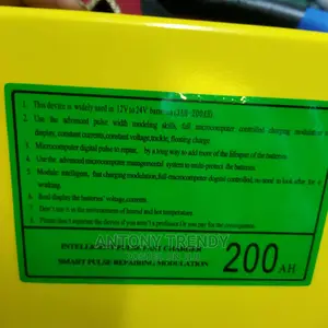 High Speed Battery Charger Both 12 and 24v