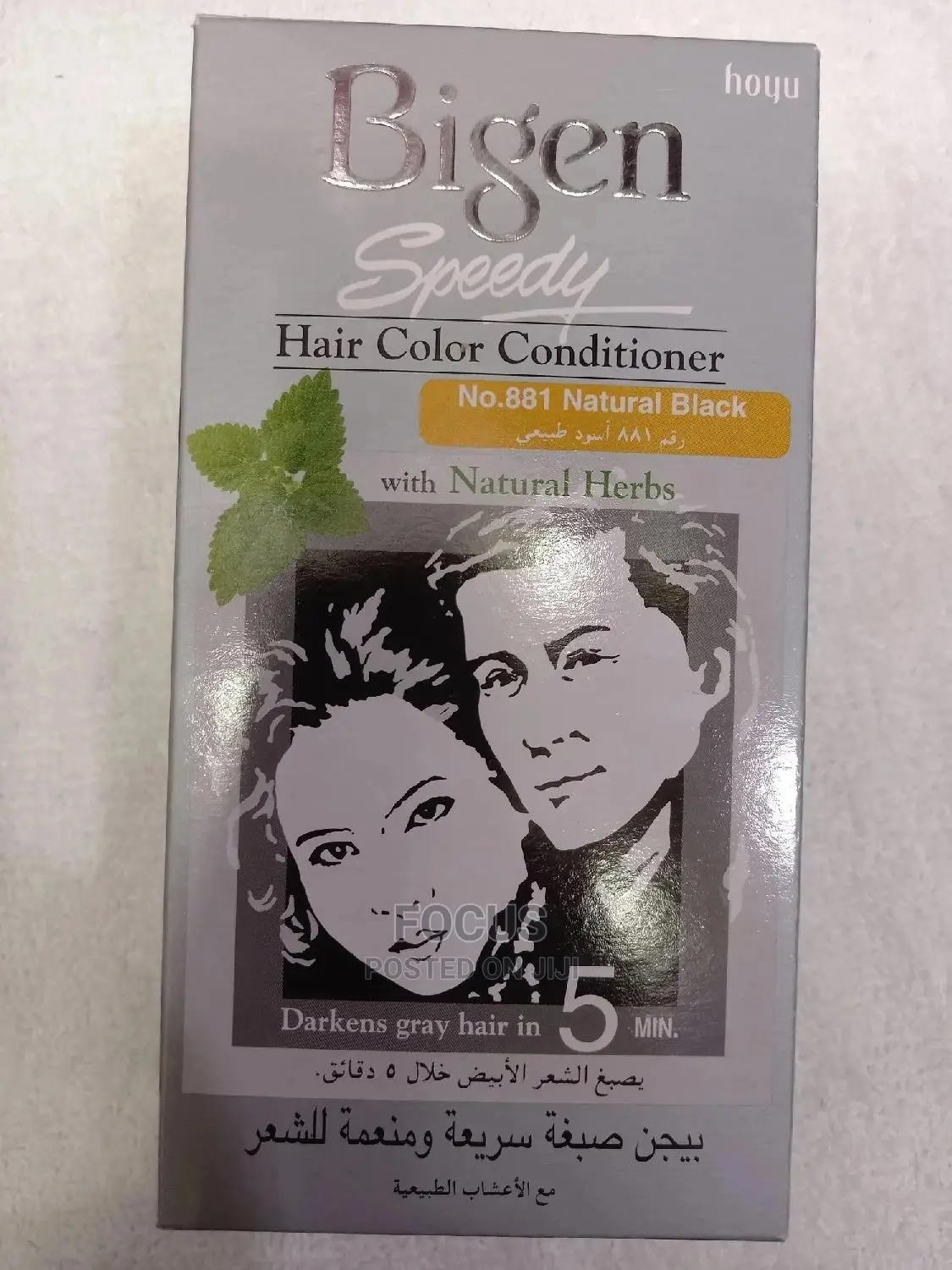 Bigen Hair Colour 881