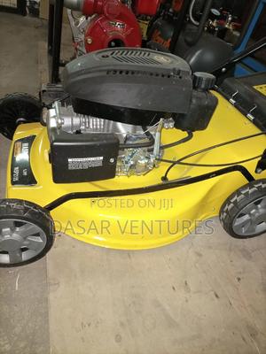 Wasp Lawn Mower 5.5hp Self Propelled - thumbnail 2
