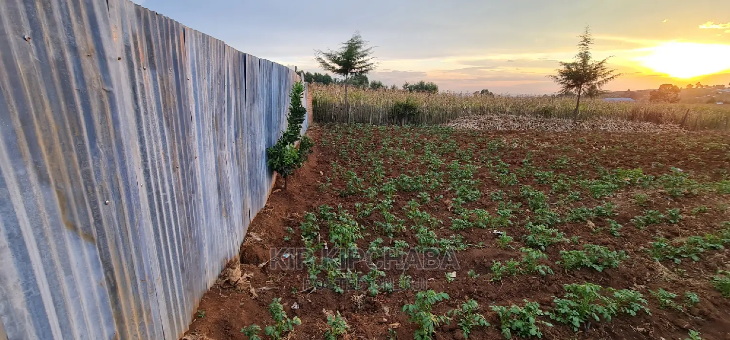 Prime Plots for Sale in Kapsoya Delicacy in Eldoret