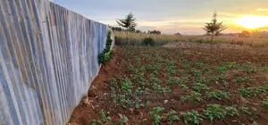 Prime Plots for Sale in Kapsoya Delicacy in Eldoret