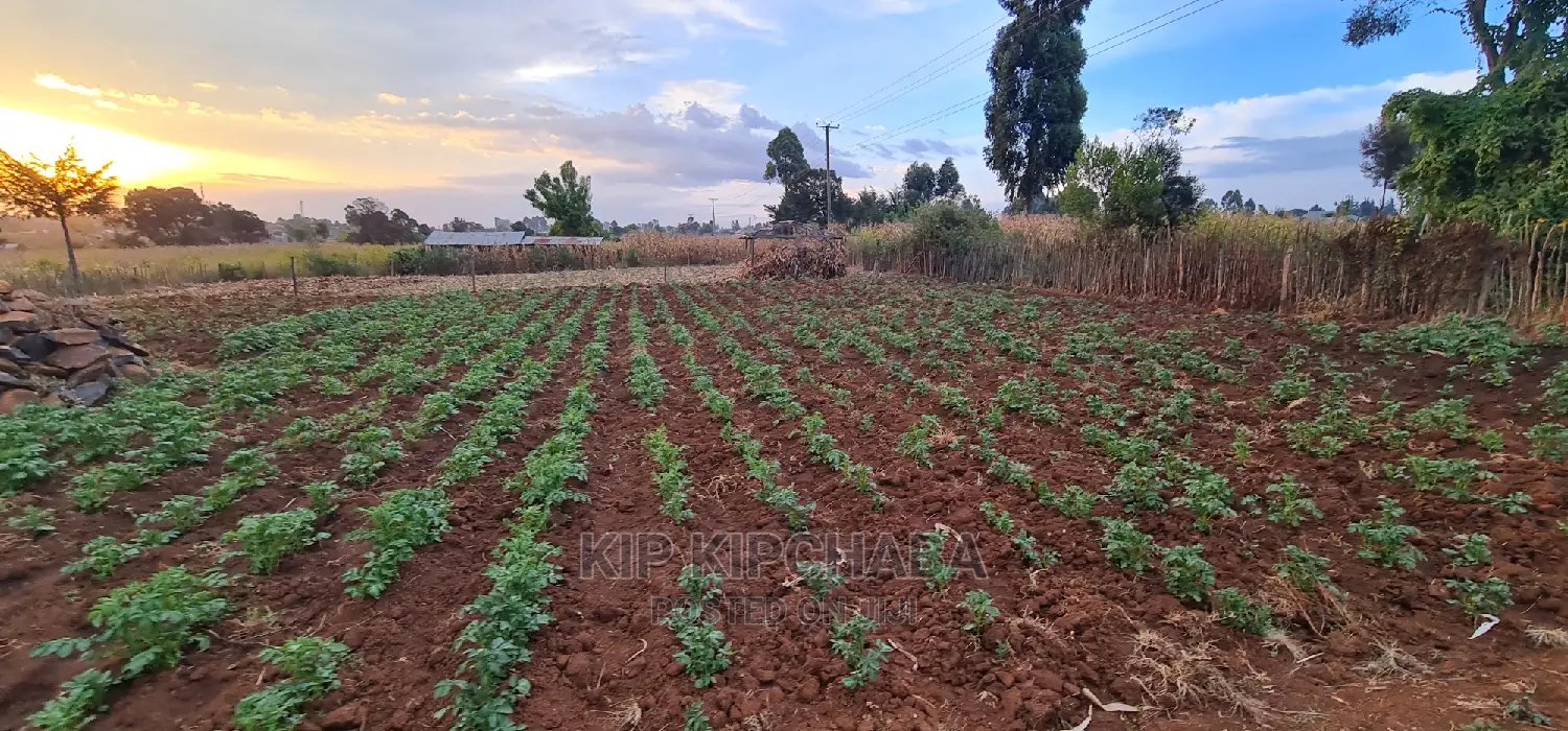 Prime Plots for Sale in Kapsoya Delicacy in Eldoret