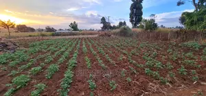 Prime Plots for Sale in Kapsoya Delicacy in Eldoret