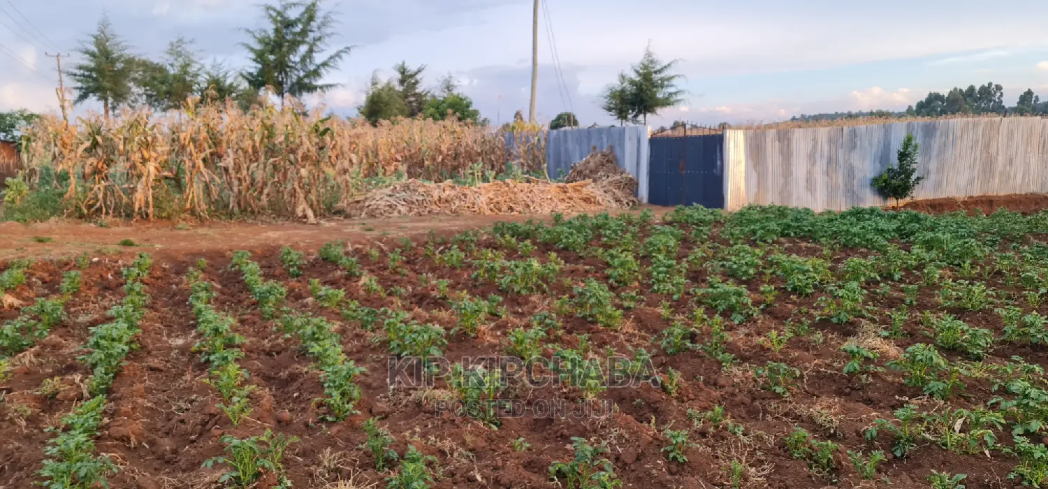 Prime Plots for Sale in Kapsoya Delicacy in Eldoret