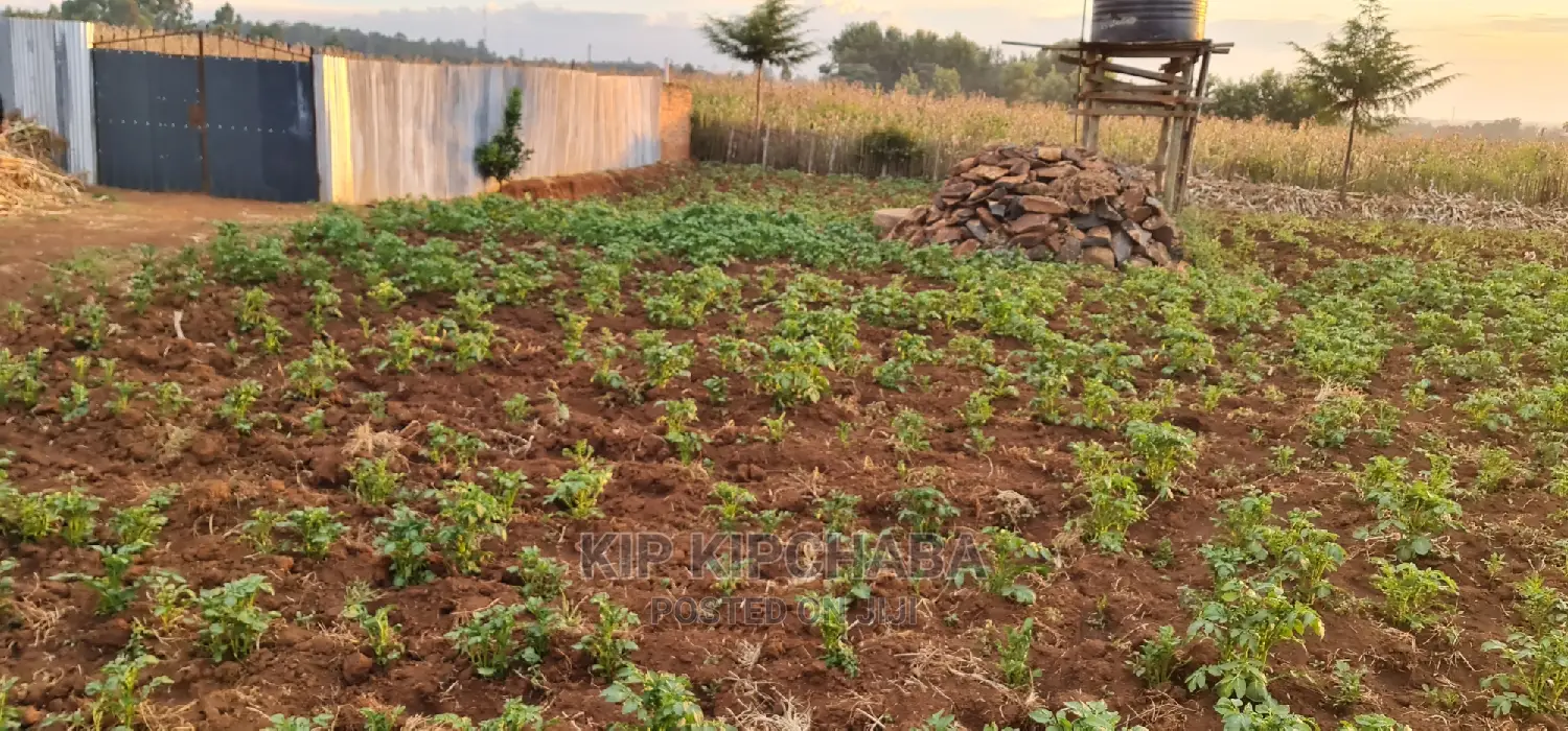 Prime Plots for Sale in Kapsoya Delicacy in Eldoret