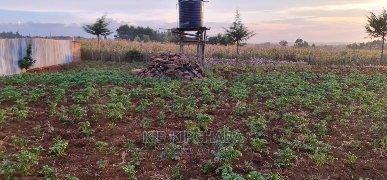 Prime Plots for Sale in Kapsoya Delicacy in Eldoret