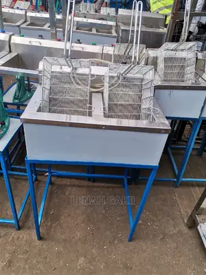Electric Double Fryer