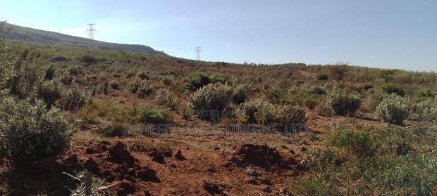 6 Acres Touching Tarmarc Ngong Suswa Road.