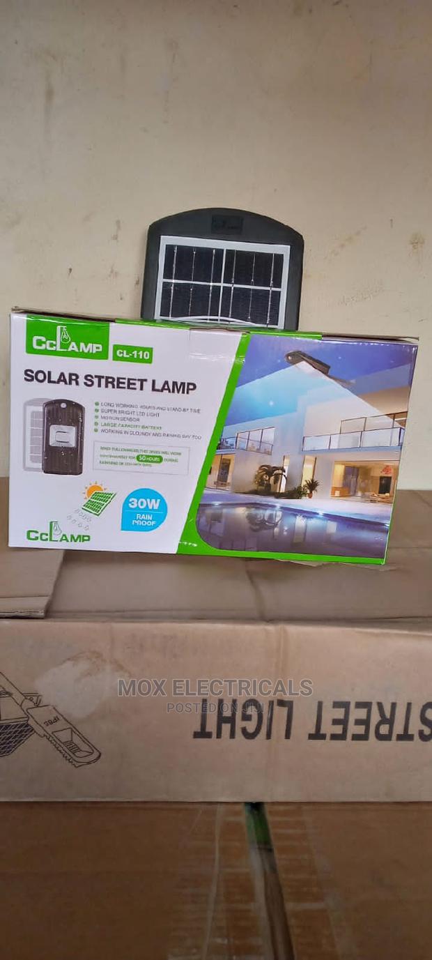 30 Watts Solar Security Street Light - main view