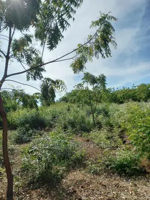 For Sale Quater Acre Land Kikambala.