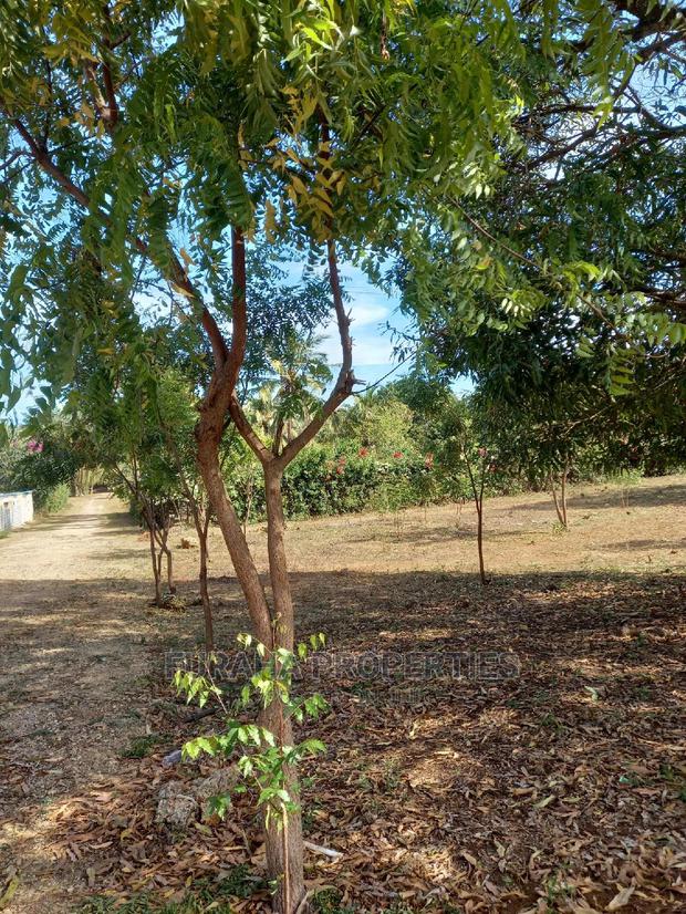For Sale Quater Acre Land Kikambala. - thumbnail 2