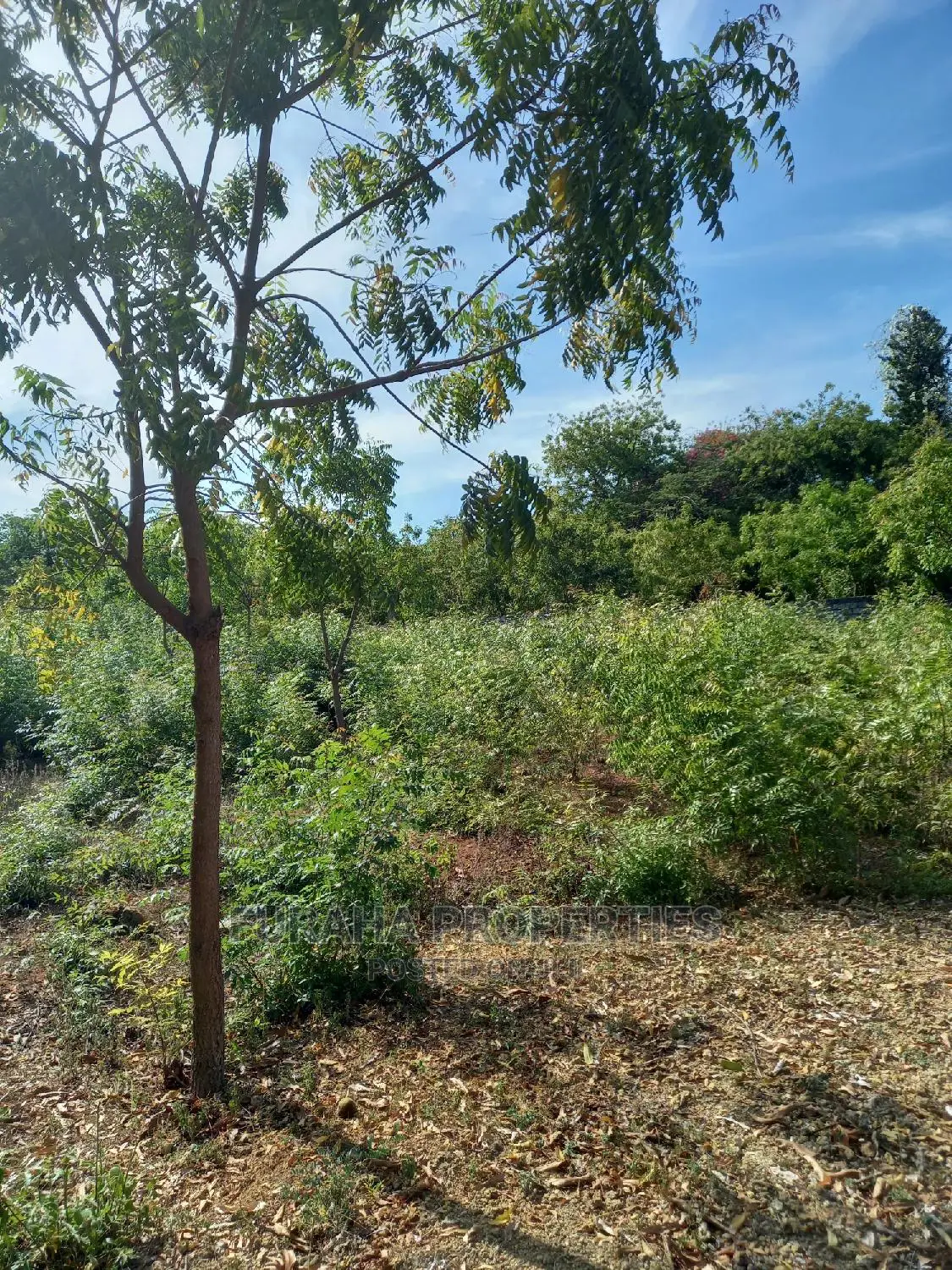For Sale Quater Acre Land Kikambala.