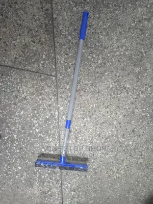Expandable. Window Wash and Squeegee
