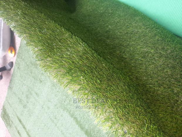 Grass Grass - thumbnail 3