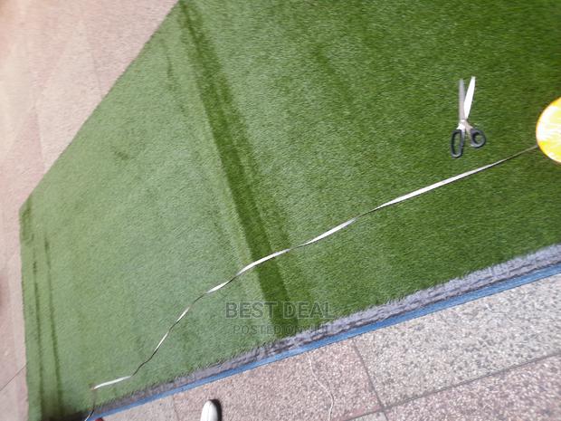 Grass Grass - thumbnail 4