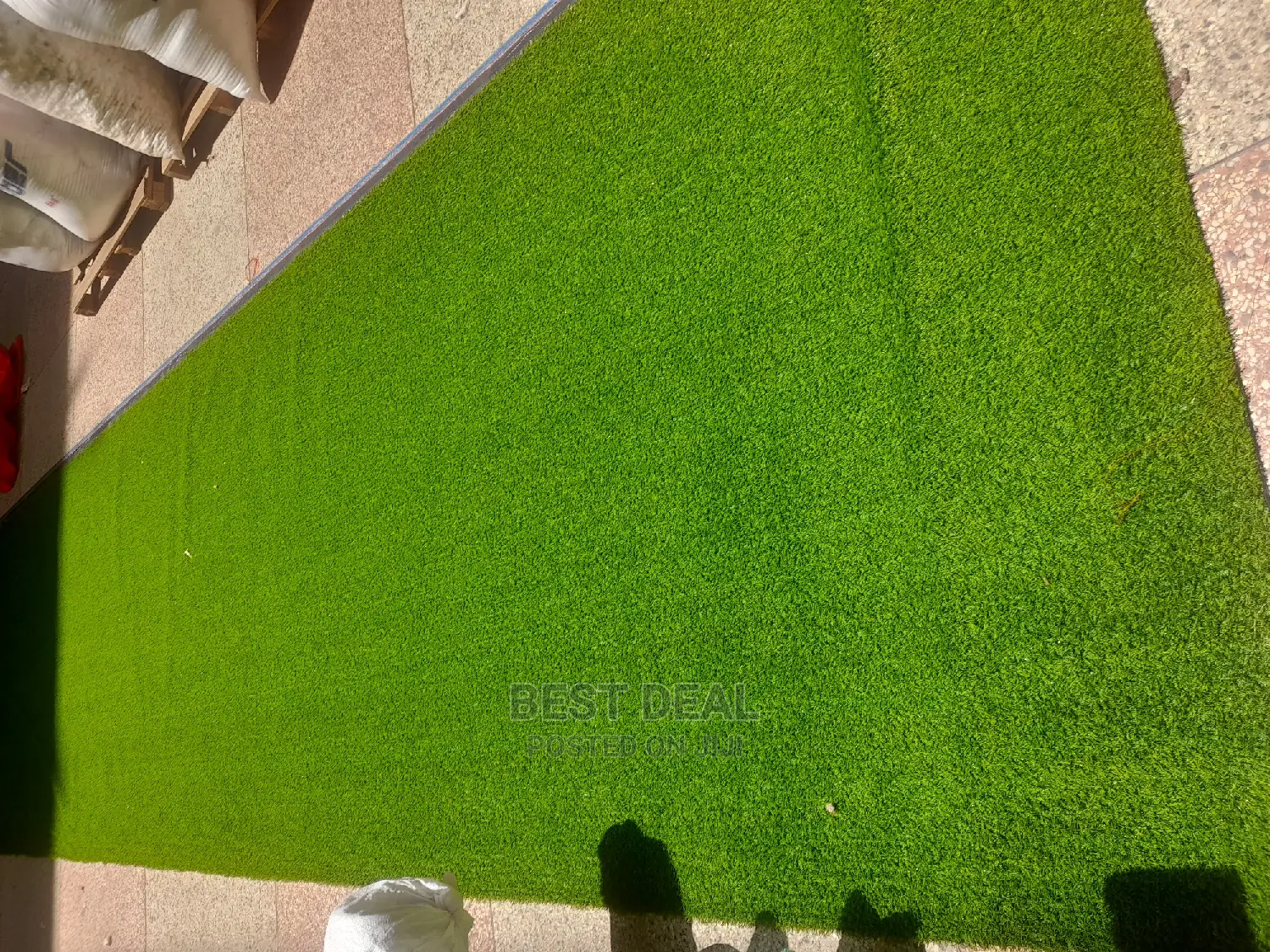 Grass Grass