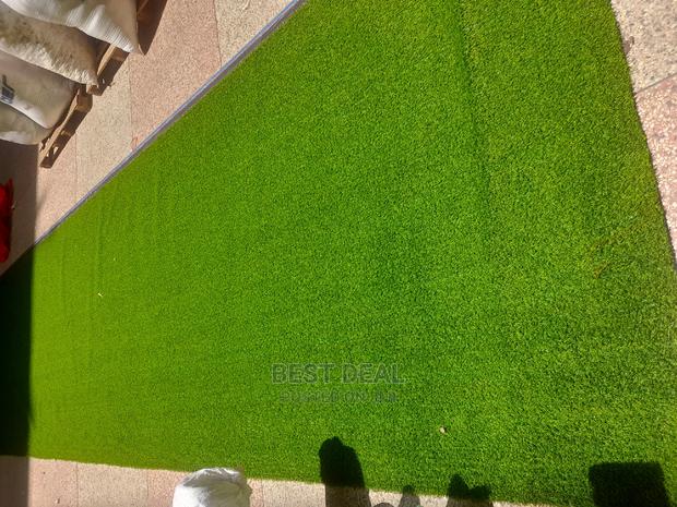 Grass Grass - main view