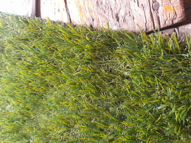 Grass Grass - thumbnail 5