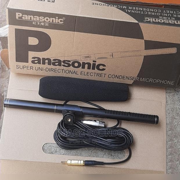 Panasonic Camera Microphone - main view