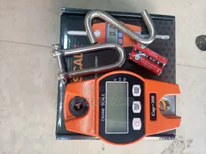 300kg Digital Hunging Scale
