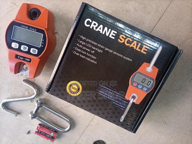 300kg Digital Hunging Scale - main view