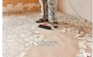 Post Construction and Vehicle Interior Cleaning Services