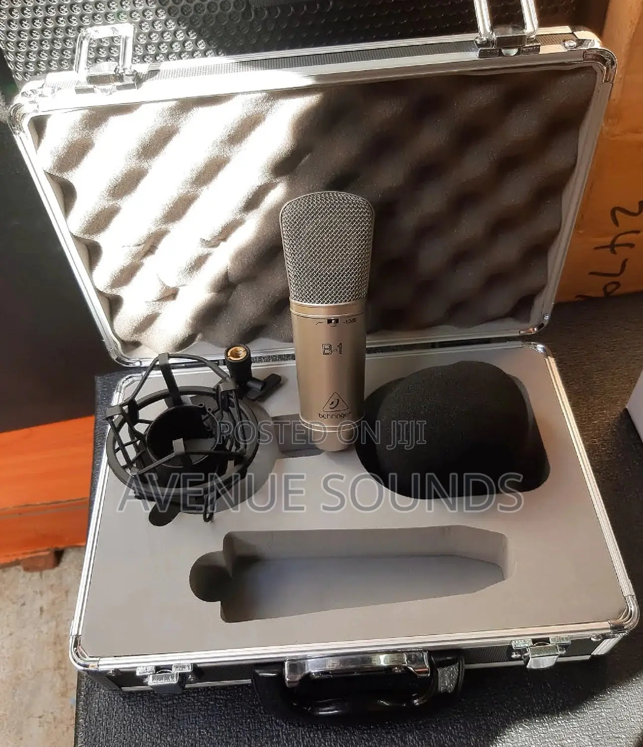 B1 Pro Condenser Microphone