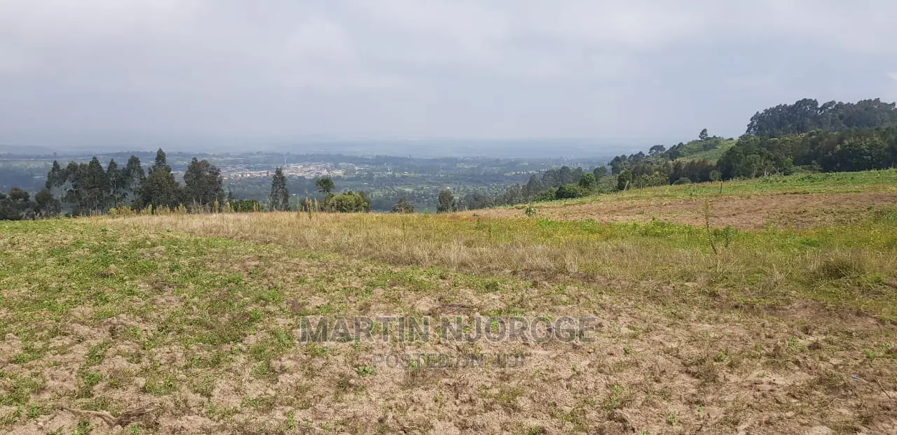 1.5 Acres Magumu With View of Rift Valley