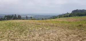 1.5 Acres Magumu With View of Rift Valley