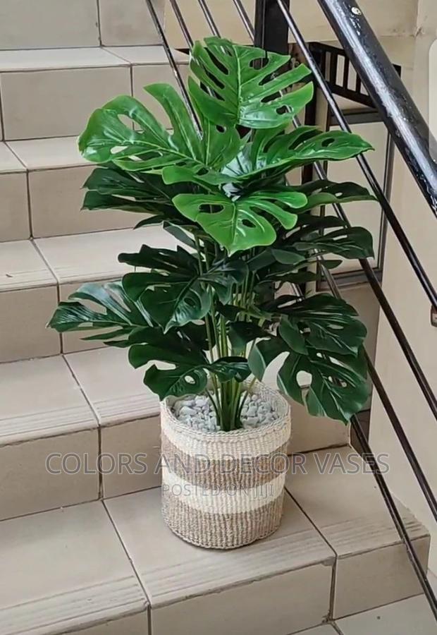 Plants Artificial And Baskets - main view