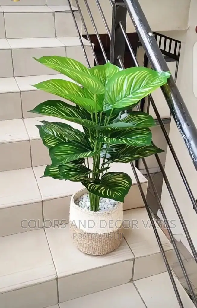 Plants Artificial And Baskets