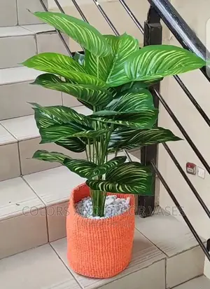 Plants Artificial And Baskets