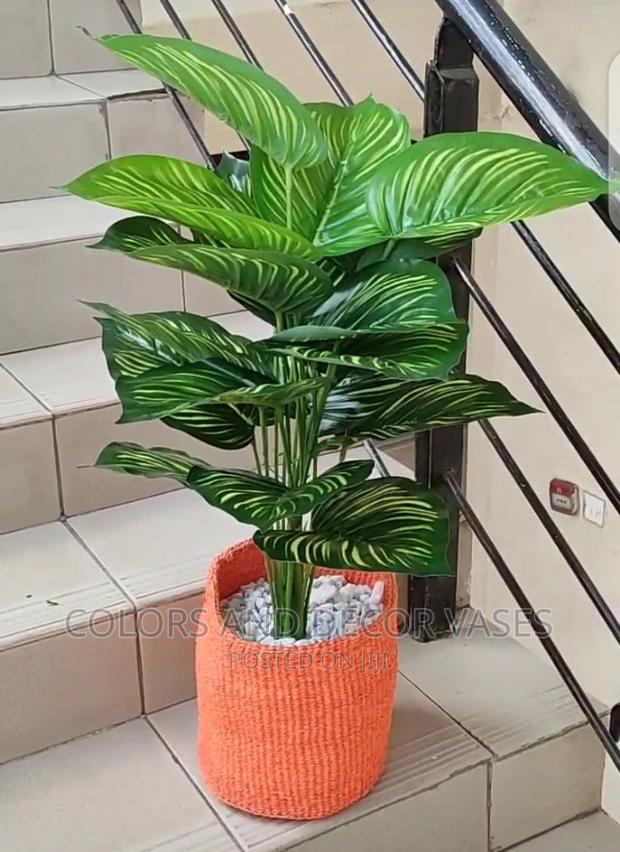 Plants Artificial And Baskets - thumbnail 4