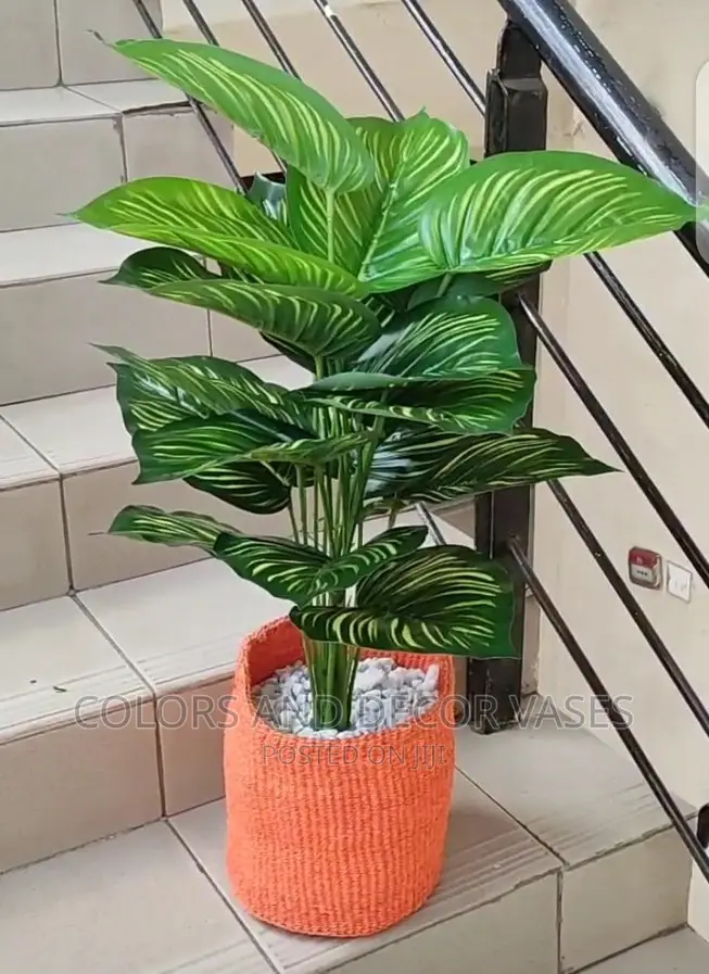 Plants Artificial And Baskets