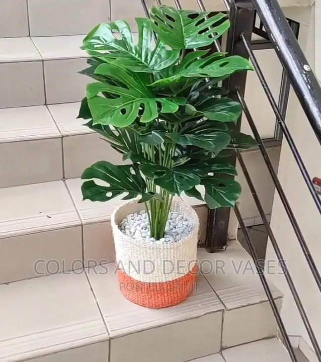 Plants Artificial And Baskets