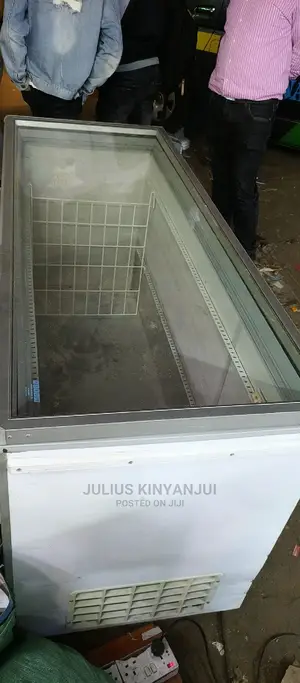 Commercial Deep Freezer