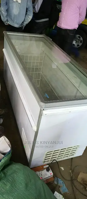 Commercial Deep Freezer